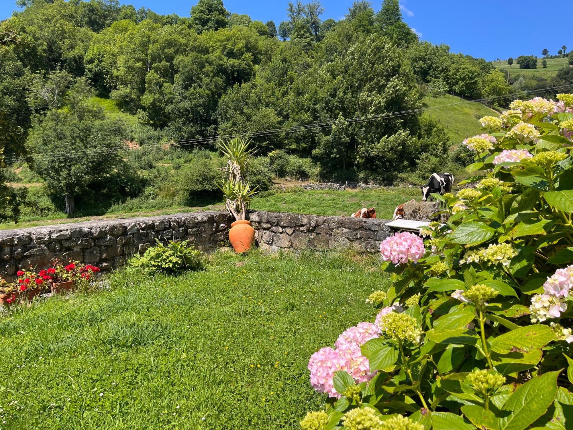 Posada De Villacarriedo Esterno foto